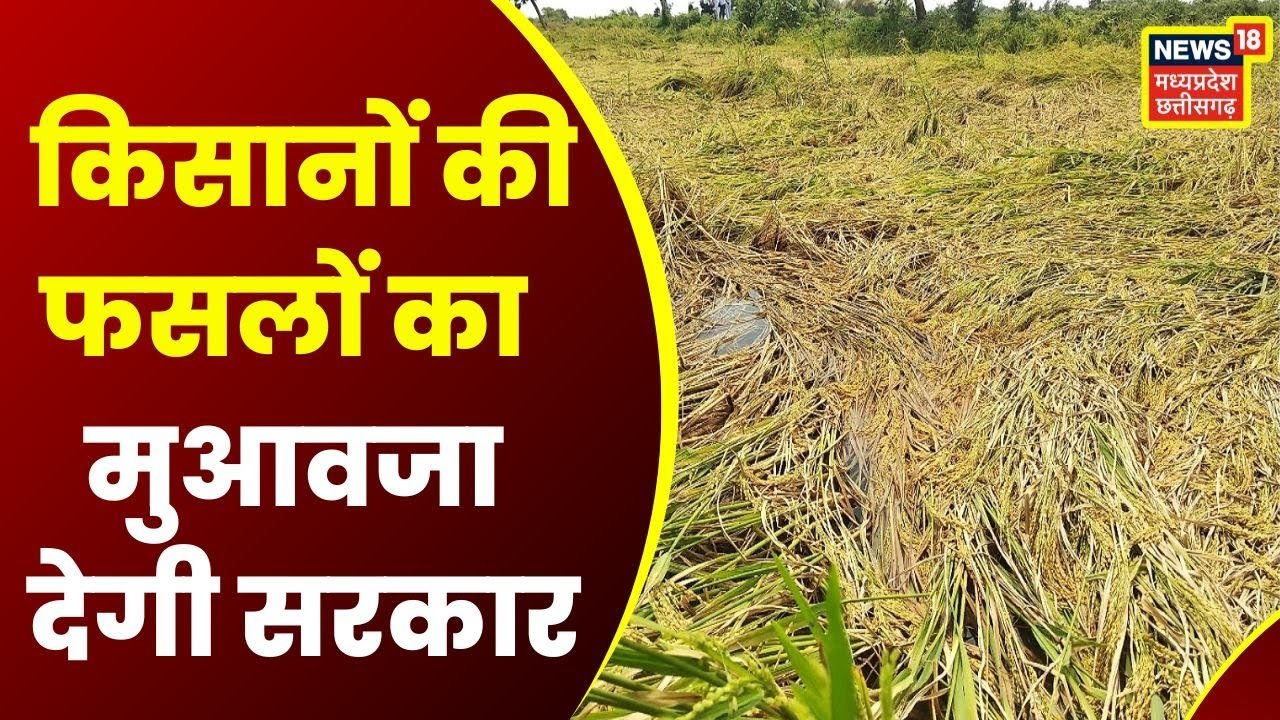 सोमवार को भी प्रदेश में बारिश का सिलसिला